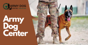 Army dog center