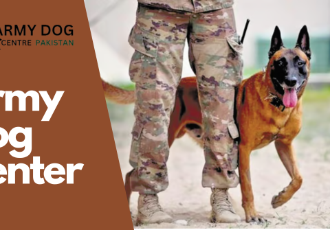Army dog center